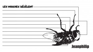 Jeanphilip | Les mouches dégèlent
